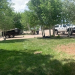 Yard Clean Up/Maintenance