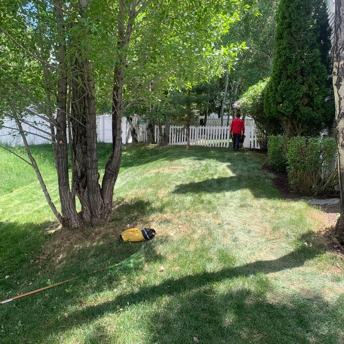 Yard Clean Up/Maintenance