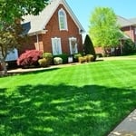 Lawncare 4