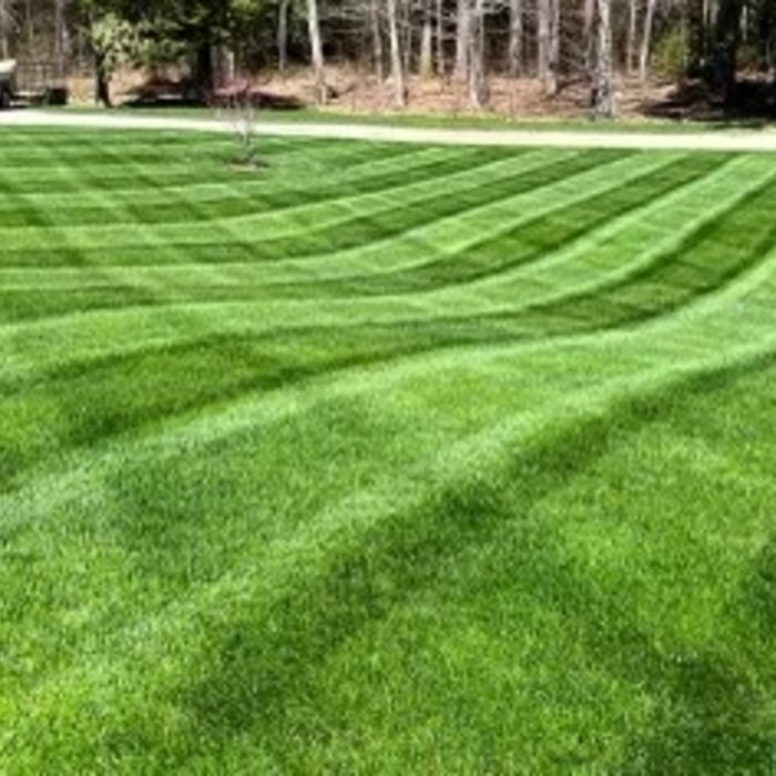 Lawncare 5