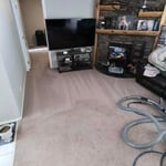 Carpet Cleaning