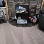 Carpet Cleaning