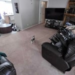 Carpet Cleaning