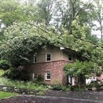 Emergency Tree Service