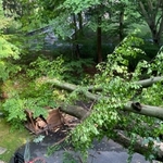 July 2022 Storm