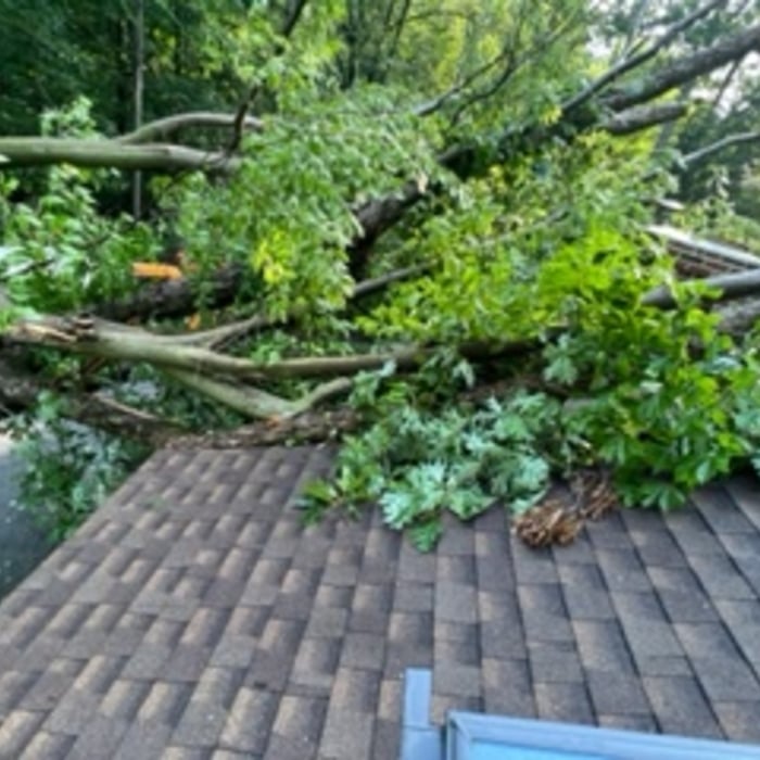 July 2022 Storm