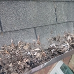 Washing/Gutter Cleaning