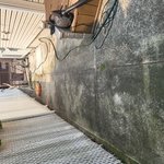 This is before we power washed