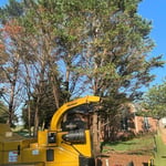 Tree Services