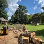 Tree Services