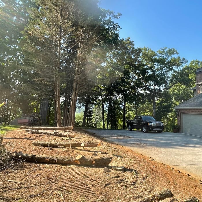 Tree Services