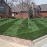 Lawn Mowing