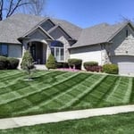 Lawn care