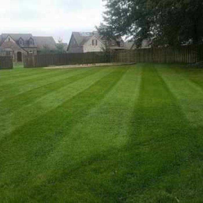 Lawn care