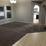 sheetrock and paint
