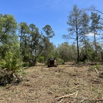 Forestry mulching