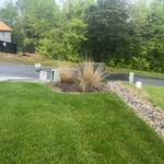 Yard view