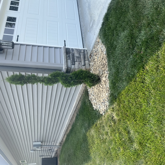 Tree next to garage