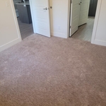 Carpet and Luxury Vinyl Plank Flooring
