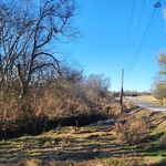 Overgrown land