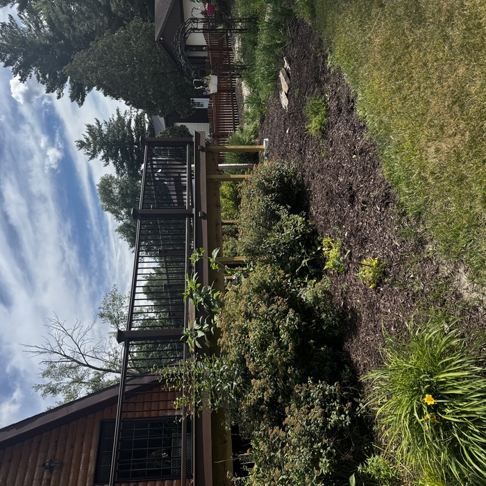 Trex Select Decking
