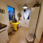 Kitchen Reorganization