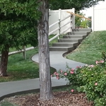 Subdivision Sidewalk
