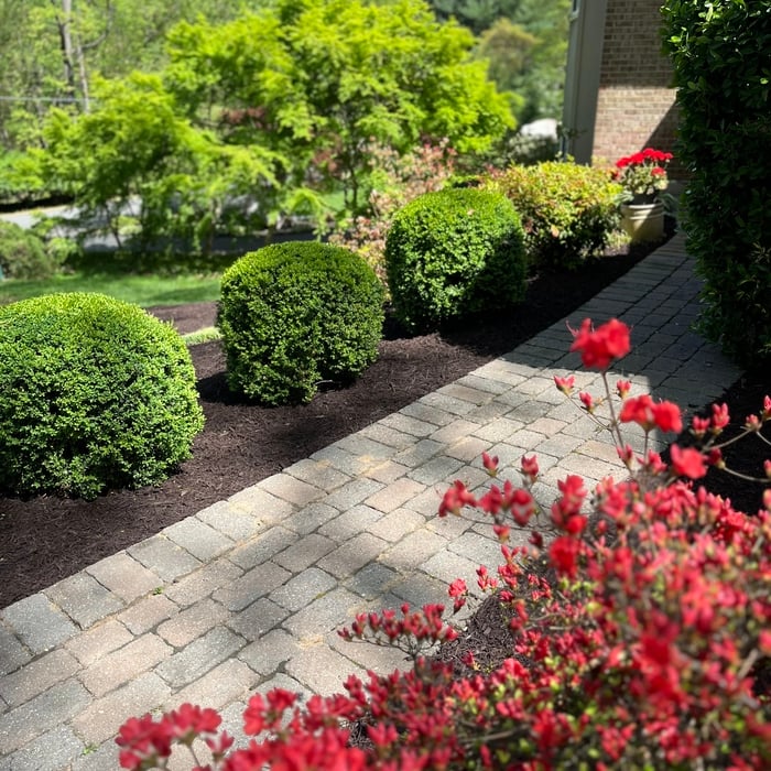 Landscape Maintenance