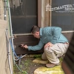 Pest Control