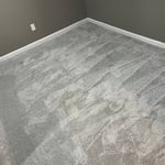 Gray Carpet
