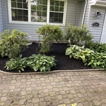 Mulching job