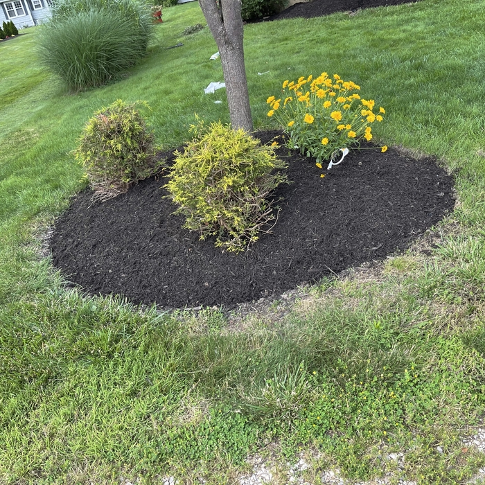 Mulching