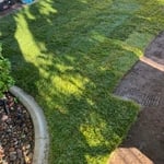 sod installation