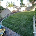sod installation