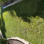 sod installation