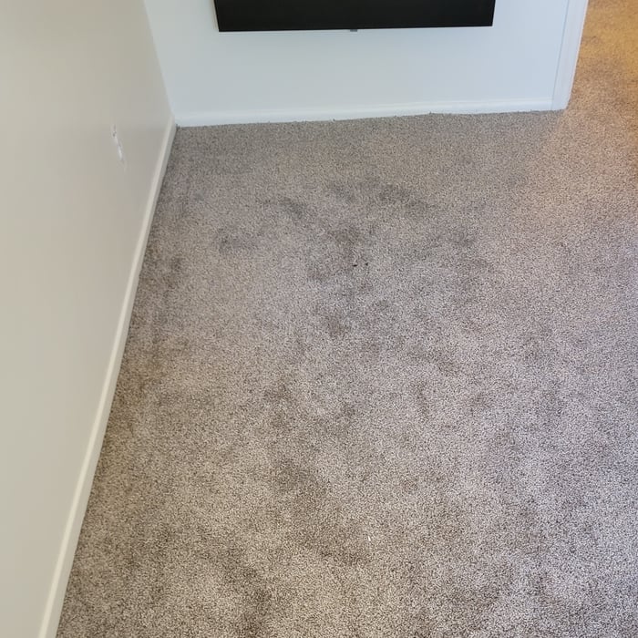 Water Damage Restoration