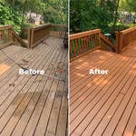 carpet cleaning&painting