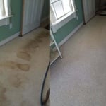 carpet cleaning&painting