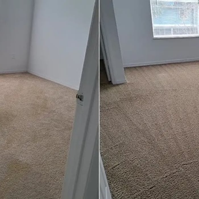 carpet cleaning&painting