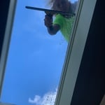 Skylight