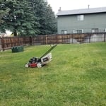 Weekly mowing client.