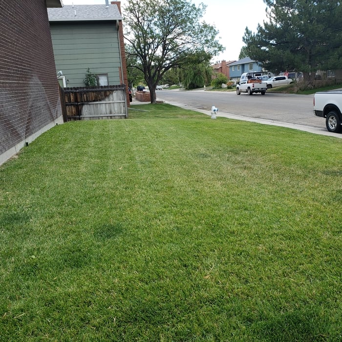 Weekly mowing client.
