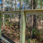 Living fence