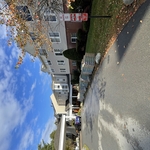 Landmark shingles