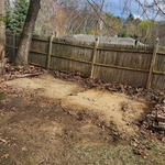 12x20 shed
