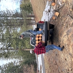Loading rounds to move them to a new location.