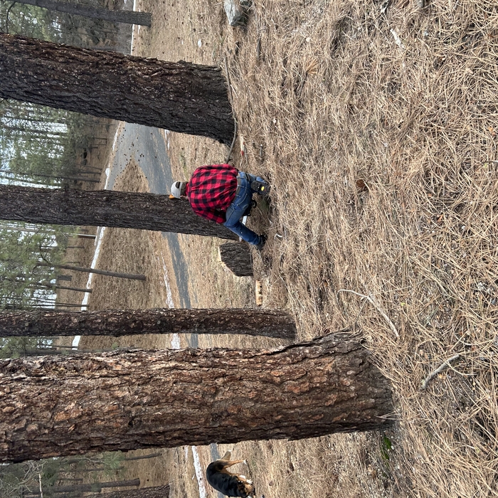 Residential Removal