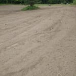 Prepping the plot for seed