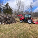 Building pile of downed trees