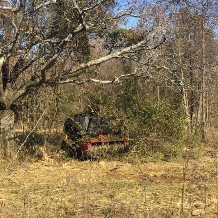 Opening up pasture